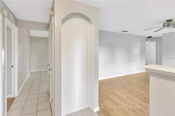 Brandon, FL 33511,802 CENTERWOOD CT