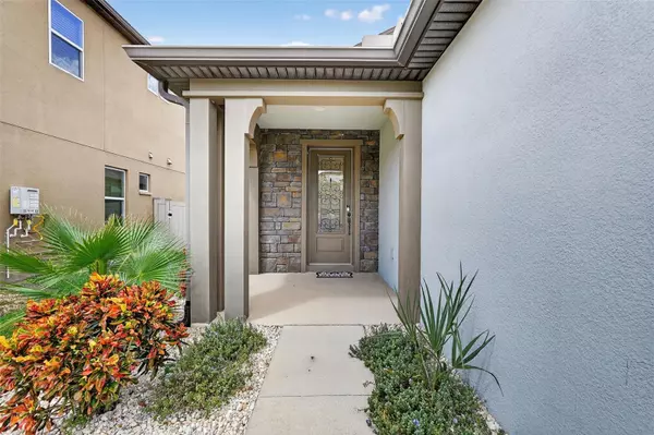 Wesley Chapel, FL 33543,29241 PERILLI PL