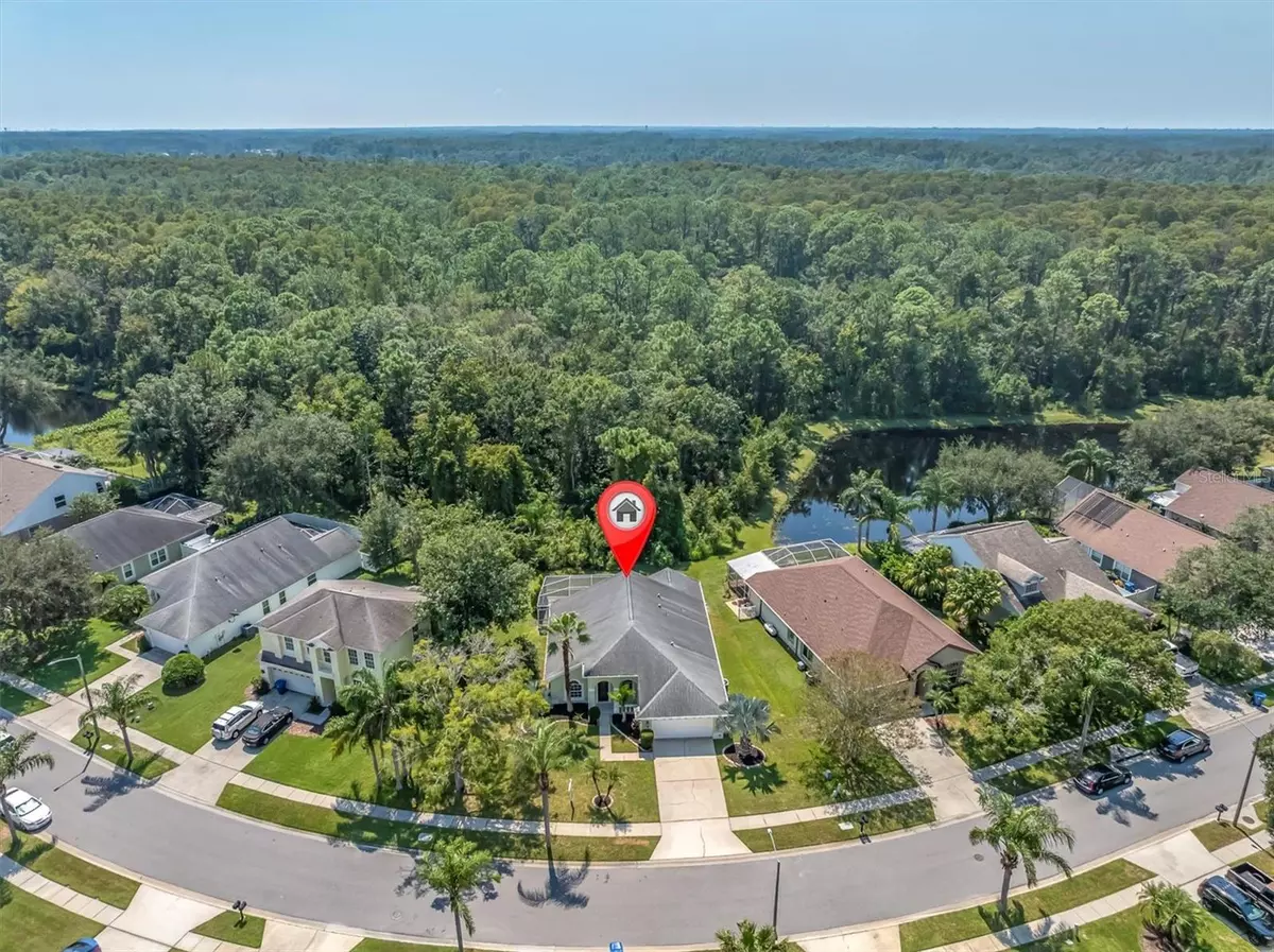 Palm Harbor, FL 34685,4948 RIDGEMOOR CIR