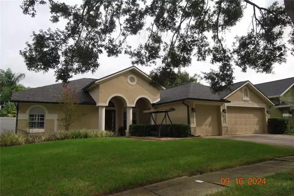 10021 REMINGTON DR, Riverview, FL 33578
