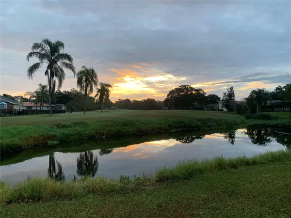 Oldsmar, FL 34677,190 WATER OAK WAY