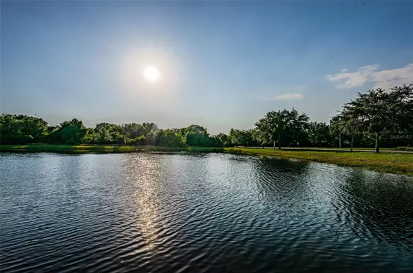 Riverview, FL 33579,13561 FLADGATE MARK DR