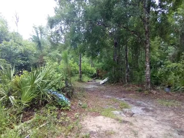 New Port Richey, FL 34654,0 SALINAS AVENUE NEW PORT RICHEY, FL 34654 AVE