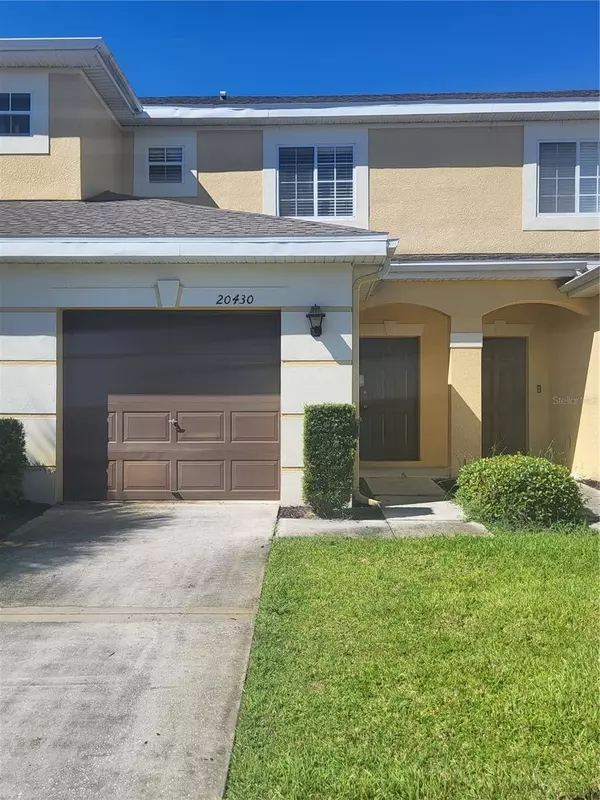 20430 NEEDLETREE DR, Tampa, FL 33647