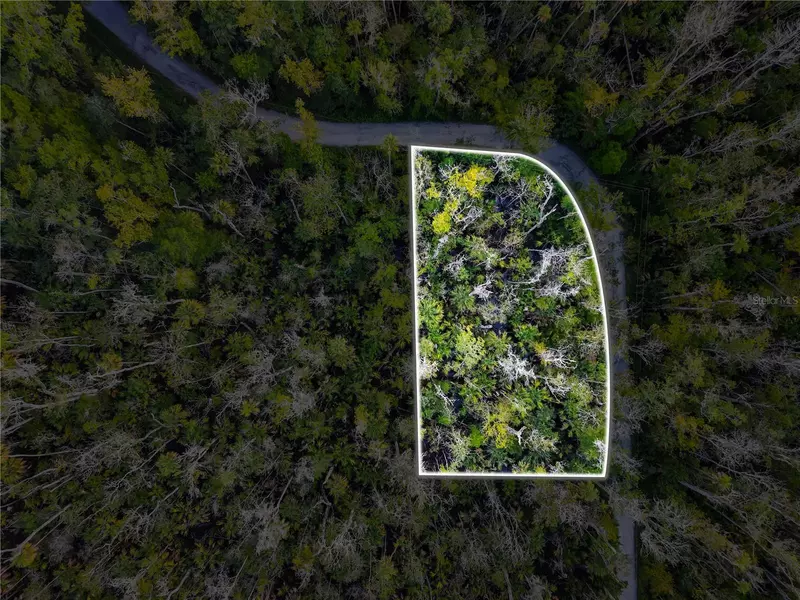 4441 S LEWOODS DR, Homosassa, FL 34448