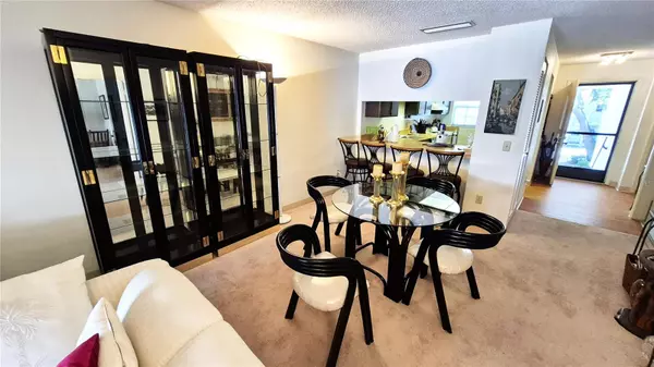 Tampa, FL 33611,3807 N OAK DR #D42