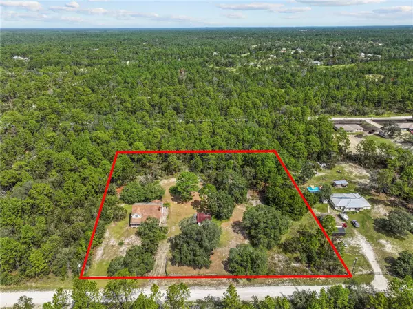 Weeki Wachee, FL 34614,11419 RASCHKE RUN
