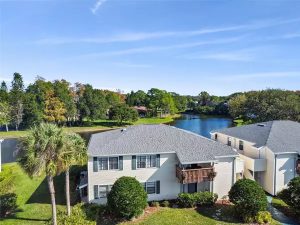 Oldsmar, FL 34677,129 CAMPHOR CIR #F