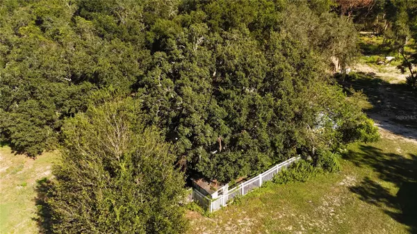 Hudson, FL 34669,12510 ROBINHOOD RD