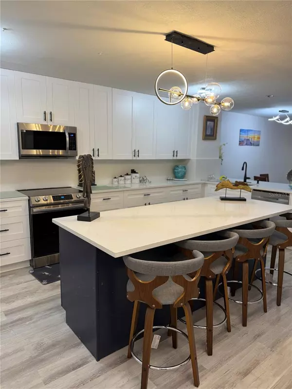 Palm Harbor, FL 34684,2599 DOLLY BAY DR #206