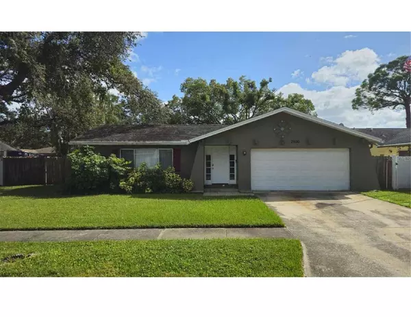 St Petersburg, FL 33709