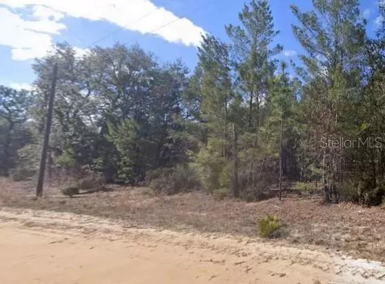 UNASSIGNED RD, Interlachen, FL 32148