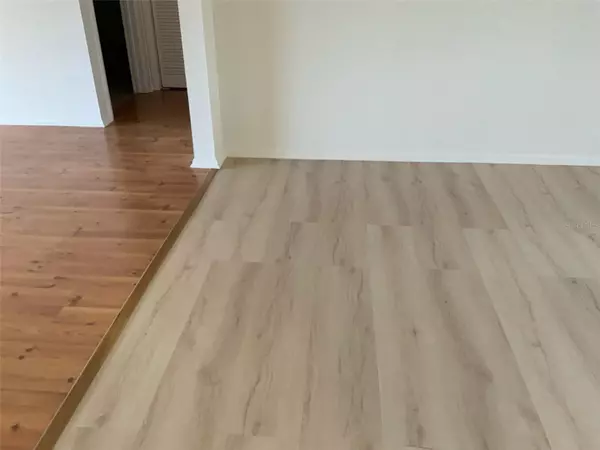 Oldsmar, FL 34677,150 DALE PL