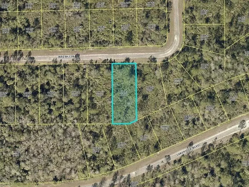 Lehigh Acres, FL 33972,375 WALSH CIR
