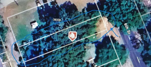 Zephyrhills, FL 33542,6 TH STREET