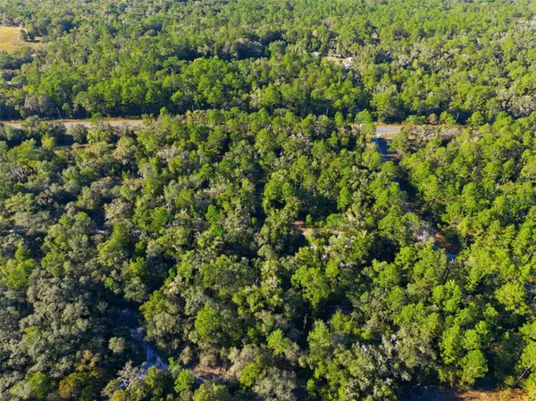 Dunnellon, FL 34433,7570 W PIXIE LN