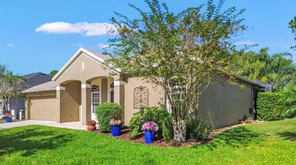 Wesley Chapel, FL 33544,5602 RIVA RIDGE DR