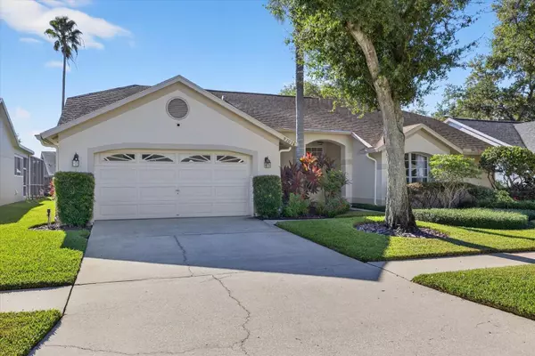 9203 SUNFLOWER DR, Tampa, FL 33647