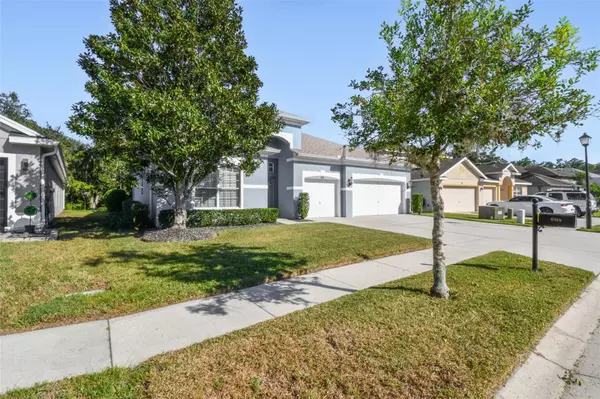 Wesley Chapel, FL 33545,6818 PINE SPRINGS DR