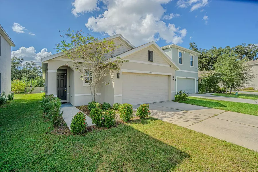 10853 TRAILING VINE DR, Tampa, FL 33610