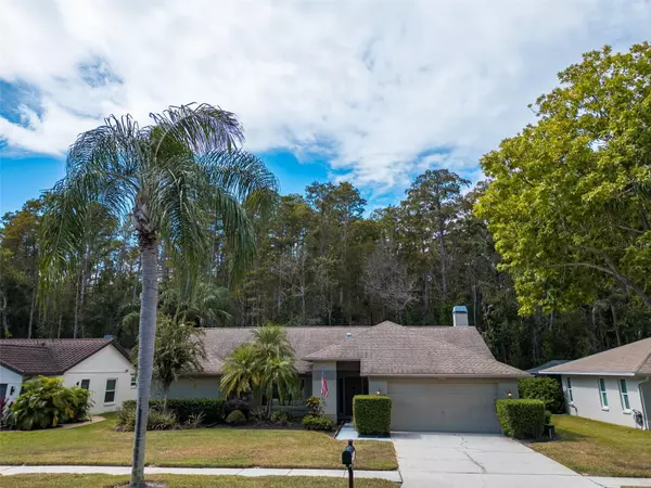 Palm Harbor, FL 34685,3238 GLENRIDGE DR