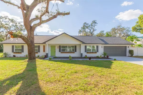 Temple Terrace, FL 33617,713 GRAND CIR