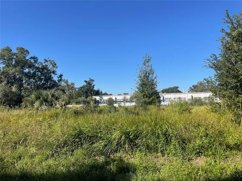 PETETTY DR, Plant City, FL 33563