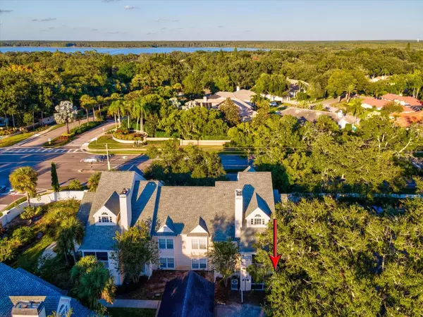 Palm Harbor, FL 34684,3321 HAVILAND CT #104