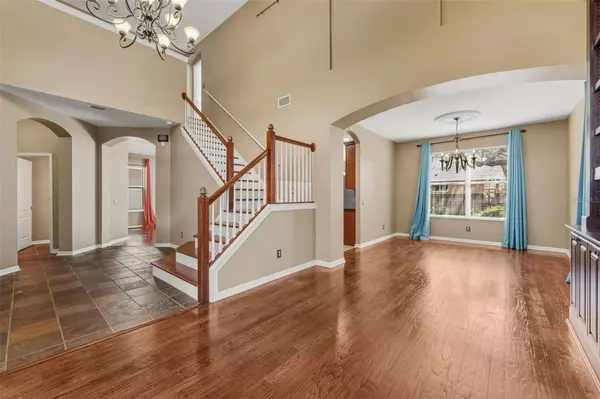 Tampa, FL 33625,7310 BRIGHTWATER OAKS DR