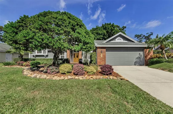 3569 ERMINE PATH, Palm Harbor, FL 34684
