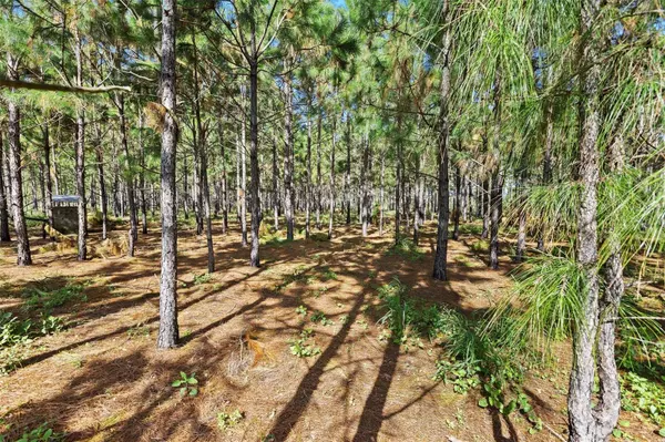 Lithia, FL 33547,18105 BETHLEHEM RD