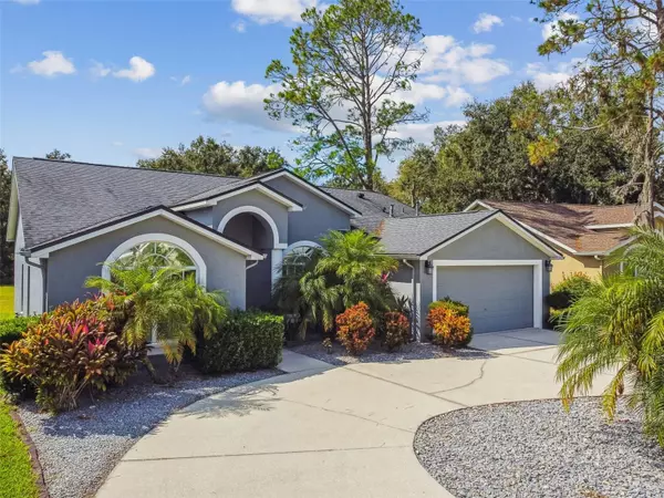 Wesley Chapel, FL 33543,5543 FOXTAIL CT