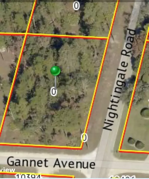 9021 NIGHTINGALE RD, Weeki Wachee, FL 34613