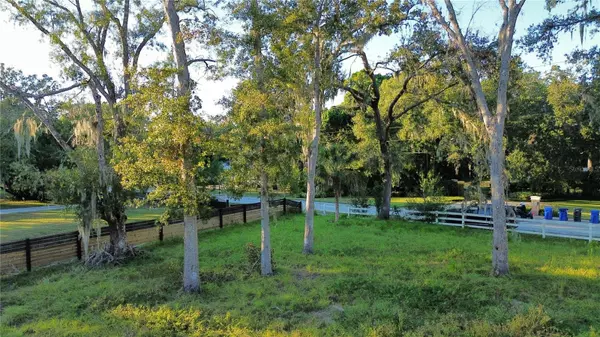 Lutz, FL 33559,1407 WHITAKER RD