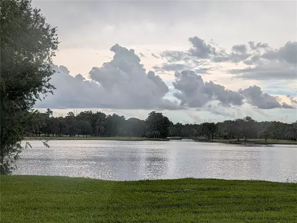 Palm Harbor, FL 34683,36750 US HIGHWAY 19 N #4-221