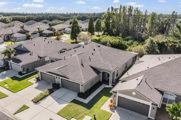 Wesley Chapel, FL 33543,1123 WRIGHT SWYNDE CT