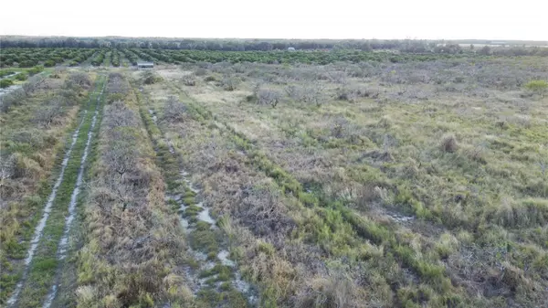 Frostproof, FL 33843,1895 OTTO POLK RD