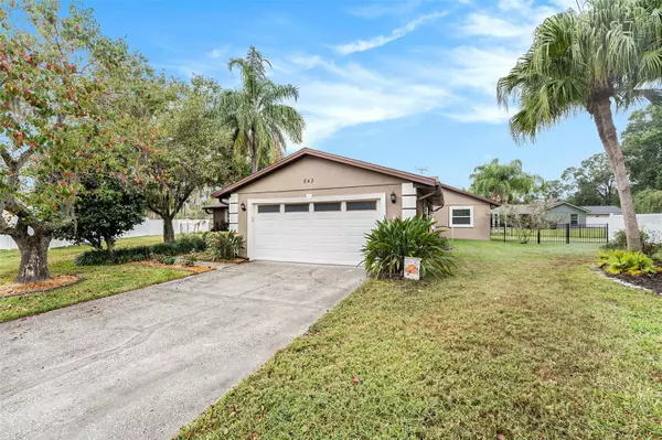Oldsmar, FL 34677,643 SATINLEAF AVE