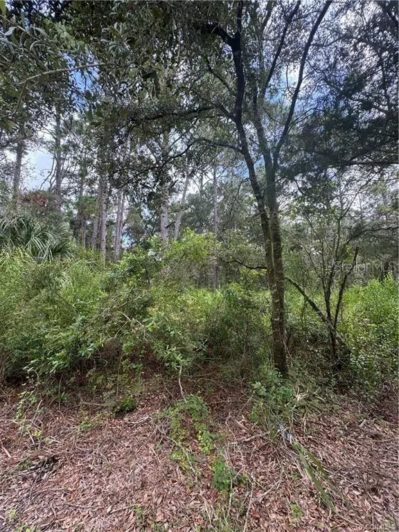 Crystal River, FL 34428,2963 N OAKLAND TER