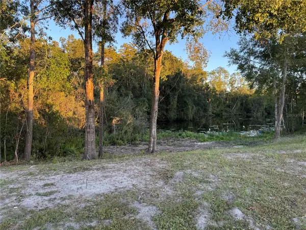Land O Lakes, FL 34639,0000 EAGLE BLVD