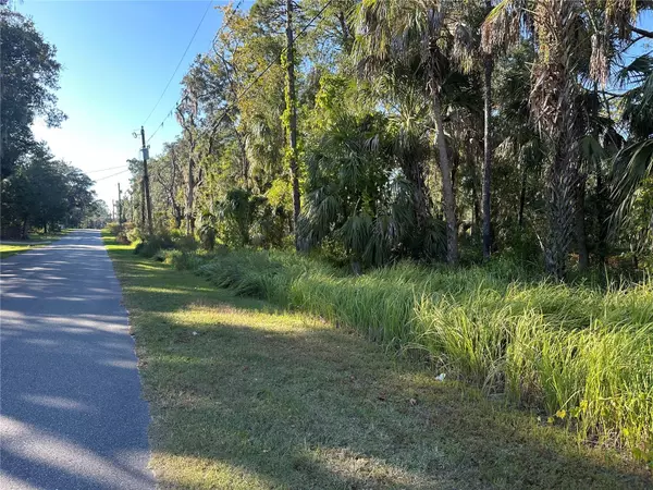 Crystal River, FL 34429,6291 W ARTER ST