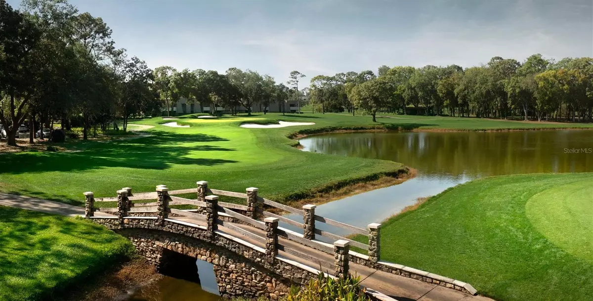 Palm Harbor, FL 34683,36750 US HIGHWAY 19 N #3-110