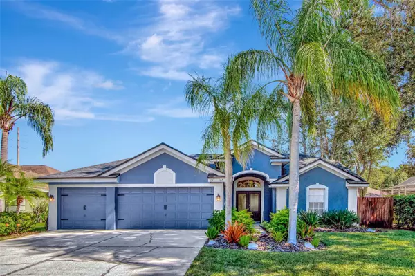 467 EQUINE DR, Tarpon Springs, FL 34688