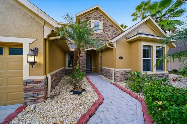 Tampa, FL 33647,19238 CLIMBING ASTER DR