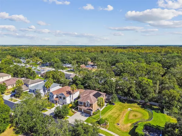 Tampa, FL 33618,15613 N HIMES AVE