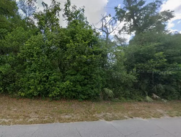 Dade City, FL 33523,OLD TRILBY RD