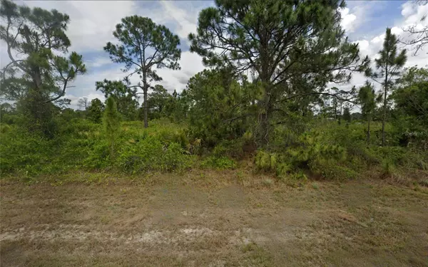 Lehigh Acres, FL 33974,1139 VENETIA ST