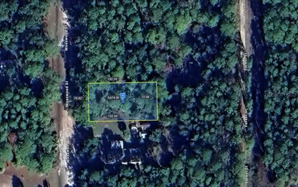 Georgetown, FL 32139,138 MOSSWOOD ST