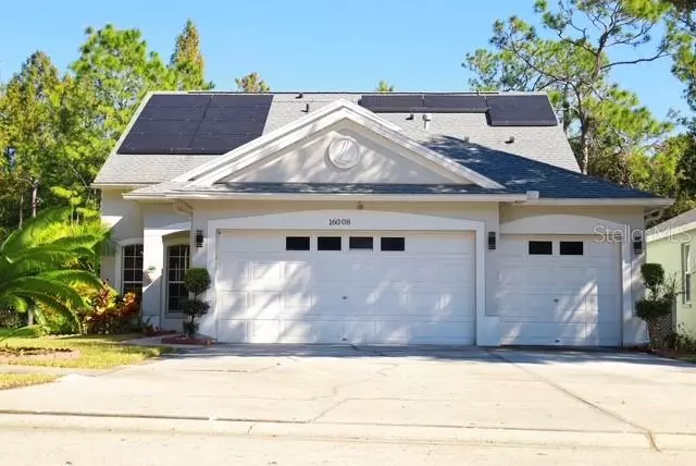 16008 STAGS LEAP DR, Lutz, FL 33559