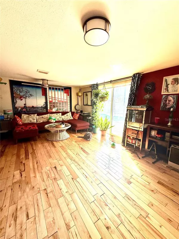 Dunedin, FL 34698,1664 BAYSHORE BLVD